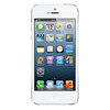 Apple iPhone 5 16Gb white - Урус-Мартан