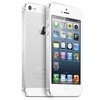 Apple iPhone 5 64Gb white - Урус-Мартан